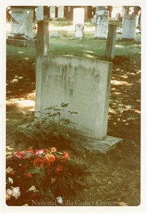 Image description is not available for PHO-4-W689-1384